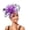Z10-Purple, variant on FUZHIQ Exaggerated Organza Flower Feather Statement Fascinator Hat, Wide Brim Headwear for Women, Kentucky Derby Red Carpet Banquet Stage Show Accessories