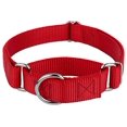 thumbnail image 2 of Country Brook Petz - Collier pour Chien Martingale Rouge en Nylon Robuste - 21 Options de Couleurs Vives (1 Pouce de Largeur, Grand), 2 of 4