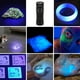thumbnail image 2 of Linterna ultravioleta de mano Linterna de detección ultravioleta Linterna UV LED 395 nm 3 modos de iluminación Linterna ultravioleta de mano para detección de orina de ANGGREK Otros, 2 of 7