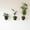 Forest Green-3, variant on Wall Planters Stone 6 Count Self-watering Vertical Garden For Indoor Plants