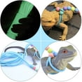 thumbnail image 4 of WHAMVOX 1PC Bearded Dragon Rope Small Pet Traction Rope Sky Blue for Pet Owners, 4 of 6