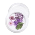 thumbnail image 1 of 3D Decoración Herramientas de manicura de 3 Zulema Flor seca de uñas, 1 of 8