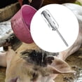 thumbnail image 6 of Pig Hair Scraper Animal Hair Remover Stainless Steel Blade for Livestock Cattle Sheep Slaughter Workshop, 6 of 9