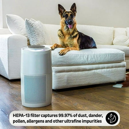 Instant - Air Purifier HEPA-13 Replacement Filter - F200 for AP200 Medium