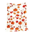 thumbnail image 2 of Flannel Throw Blanket Thanksgiving Fall Plaid Comfortable Soft Throw Light 70X100Cm for Couch Bed Camping Warm Decorative Fall Home Focus, 2 of 6