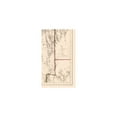 thumbnail image 2 of Historic State Map - Nevada - Wheeler 1869 - Vintage Wall Art, 2 of 4
