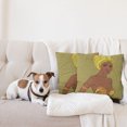 thumbnail image 4 of Ambesonne African Throw Pillow Cover 2 Pack, Fashion Lady with Earrings, 20", Multicolor, 4 of 5