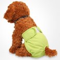 thumbnail image 2 of Lindo perro mas panty nuevo regalo breve perra en pantalones sanitarios para niña mujer L verde Sunnimix Pantalones fisiológicos del perro del animal doméstico, 2 of 6