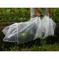 thumbnail image 3 of Greenhouse Tunnel Foil Plastic Horticultural Polythene Sheet Plant Cover, 3 of 6