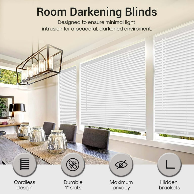 PowerSellerUSA 1 Slats Cordless Window Blinds, 64L x 48W Inches Solid  Pattern Light Filtering Vinyl Indoor-Outside Ceiling Mount Mini Blind,  Manual