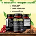 thumbnail image 3 of Suplemento Berberine Mojo 1500 mg con magnesio y canela 60 tabletas, 3 of 5