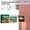 B, variant on Dream of my Life: Live with purpose, (Paperback)