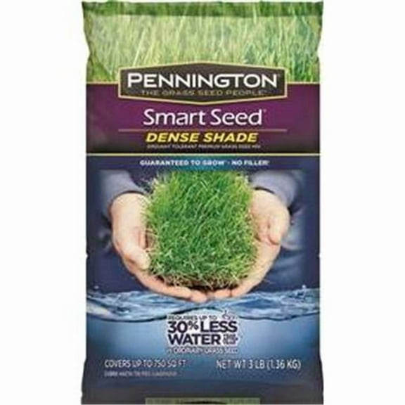 Pennington 100526625 Smart Seed Dense 3 Shade