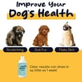 thumbnail image 6 of Healthy Pup Wild Alaskan Salmon Oil Formula for Dogs and Cats Omega 3 Fish Oil, Skin and Coat Supplement 8oz., 6 of 10
