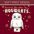 thumbnail image 6 of Harry Potter Little Girls' 2-Piece Skater Dress Set Hedwig Maroon Cream, 6 of 7