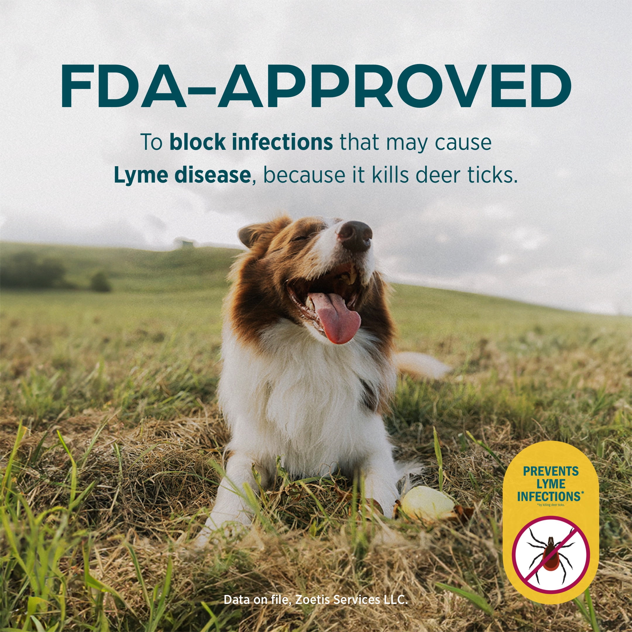 Simparica Chewable Tablets for Dogs, 2.8-5.5 lbs, (Yellow Box)