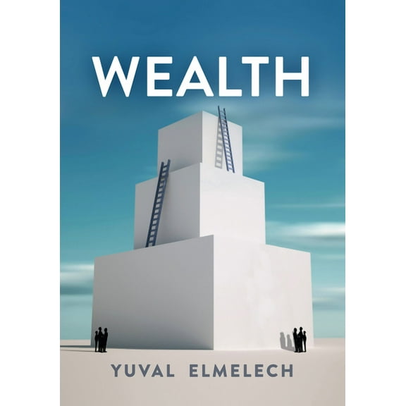 Economy and Society: Wealth (Paperback)
