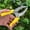Yellow, variant on Stainless Steel Pruning Shears, Heavy Duty Garden Scissors with Non-Slip Grip, Sharp Bypass Trimmer for Branches, Flowers, Plants, Fruit Picking, Gardening Tools, Rust-Resistant Blade