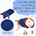 thumbnail image 4 of Traje de recuperación para perros, traje de recuperación con cremallera para perro macho hembra, mono con cuello en E para heridas abdominales (rojo y azul, extragrande), 4 of 5