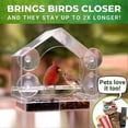 thumbnail image 5 of Small wall Plastic birdcage Transparent small pet birdcage, 5 of 5