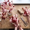thumbnail image 6 of 60 Pcs Fall Dried Flower Bouquet,17.72 Inch Natural Dried Pampas Grass Fall Flower Bouquets for Autumn Vase Filler | Fall Decorations Bunny Tail Grass for Table Wedding Decor, 6 of 7