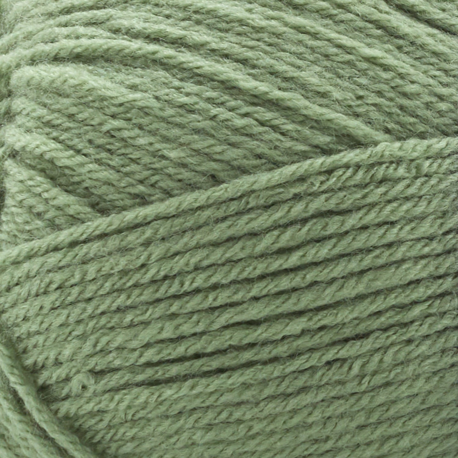 1142|36 Celery