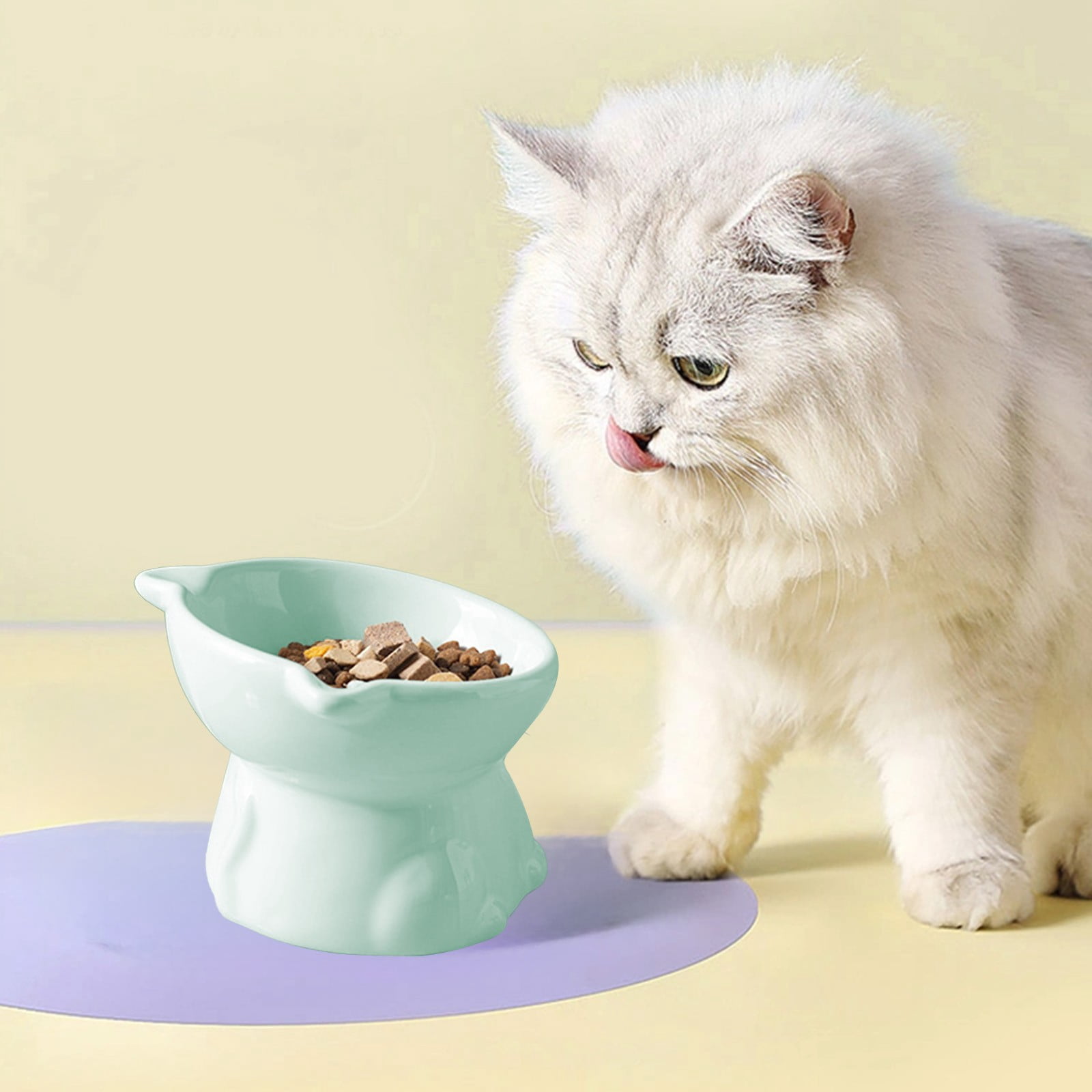 Nkmbld Ceramic Dog Bowls Elevated, Large Capacity Pet Bowl 15 Degrees Tilted Cat Food Bowls, Anti-Vomiting and Whisker Friendly, Easy to Clean