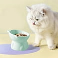 thumbnail image 5 of Cadorn 1 PCS Ceramic Anti-Spill Pet Bowl, Non-Tip Food and Water Dish for Dogs and Cats, Green Durable Feeder with Non-Slip Base, Indoor Pet Supplies, 5 of 6