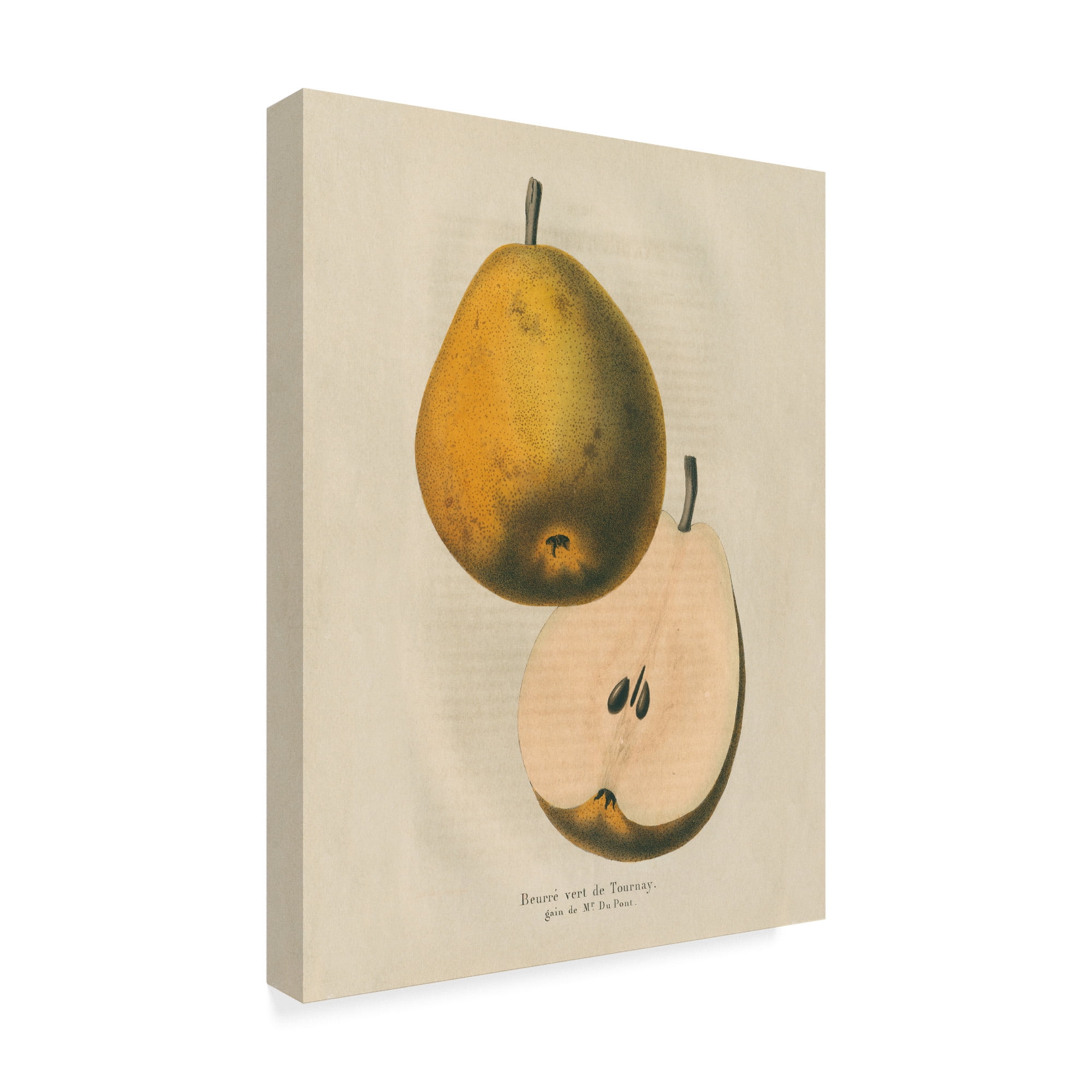 Trademark Fine Art 'Tournay v2' Canvas Art by Wild Apple Portfolio