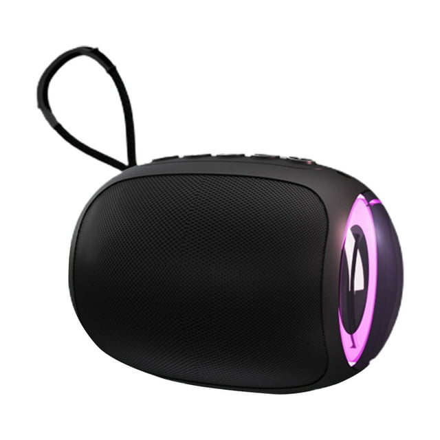 Altavoces Bluetooth Karaoke Inalámbrico Altavoz con Micrófono, Bluetooth Inalámbrico Altavoces Bluetooth Portátiles