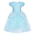 thumbnail image 5 of Jurebecia Princess Costume Halloween Dress up for Girls Blue Clothes for Toddler Birthday Party Fancy Cosplay with Accessories 100 cm 2-3 Years, 5 of 12
