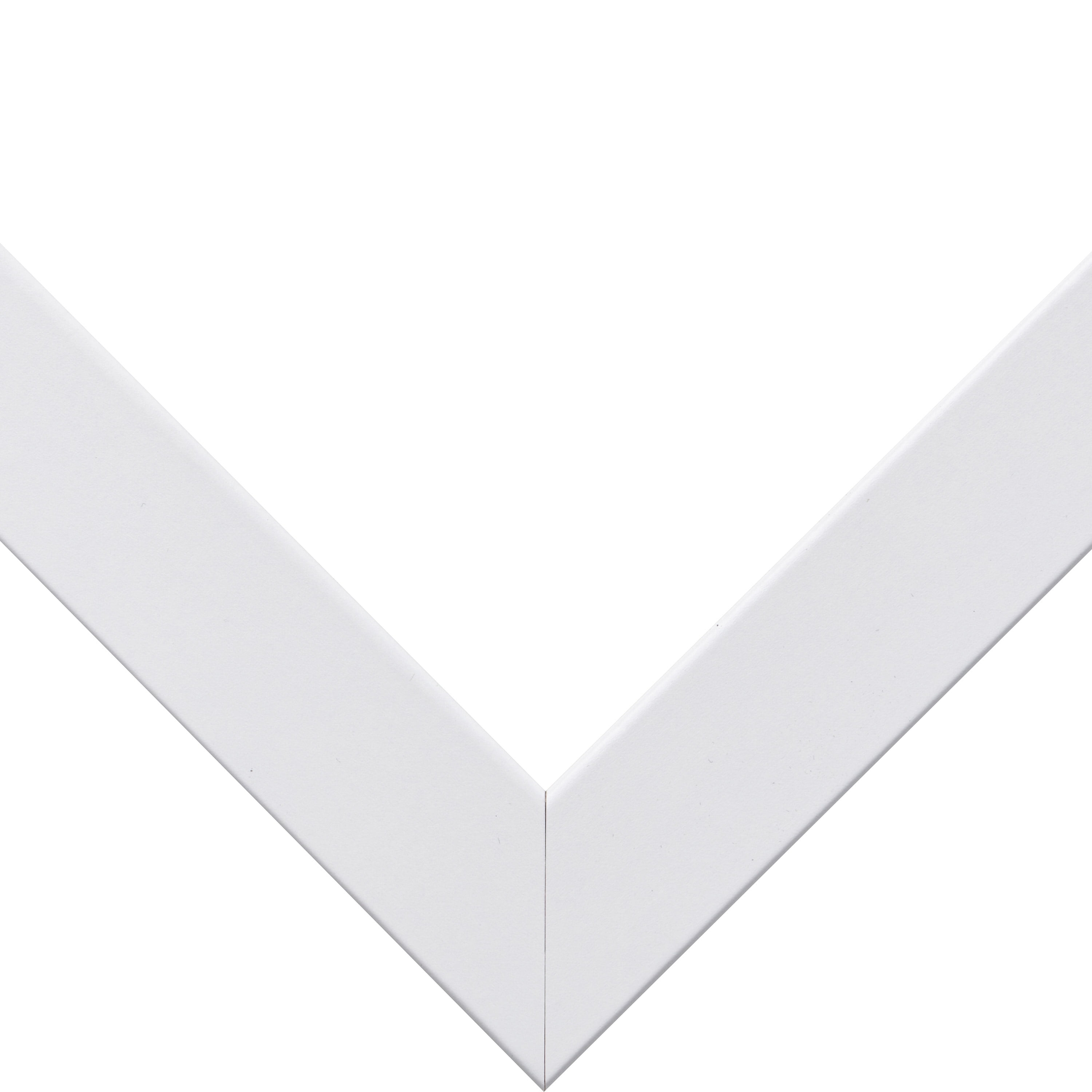 Craig Frames Essentials, 22x28 inch Picture Frame Matted for a 18x24 Photo, Satin White