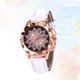 thumbnail image 5 of Reloj de pulsera elegante de aleación de cuarzo con diamantes de imitación para mujer, con símbolo, hermoso reloj de joyería para dama (blanco), 5 of 7
