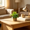 thumbnail image 4 of Yatlte Small Fake Plants, Artificial Potted Plants with Seagrass Pots | Handwoven Seagrass Pots, Plant Designs, Shelf & Tabletop Decor, Realistic Faux Greenery, Farmhouse & Boho Decor, 4 of 6
