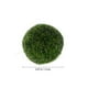 thumbnail image 2 of 5 bolas de musgo., 2 of 3