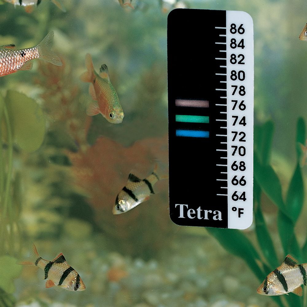 Thermometer, Lcd, Sticks On Outside Of Aquarium Tank