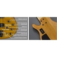 thumbnail image 2 of Yamaha Trbx605fmam Bajo 5 Cuerdas Caoba Activo Yamaha TRBX605FM, 2 of 3