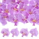 thumbnail image 1 of Cabezas de Flores de Orquídea Artificial de 20 Paquetes, Cabezas de Flores de Mariposa de Seda Falsa para Decoración [2.76", Púrpura Claro], 1 of 1