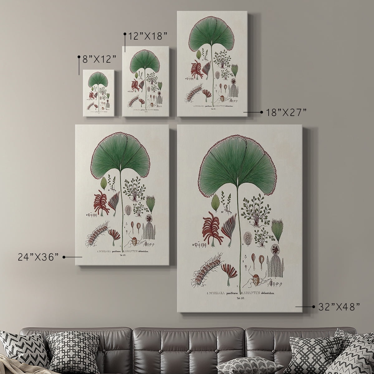 Botanical Society Ferns III Premium Gallery Wrapped Canvas - Ready to Hang