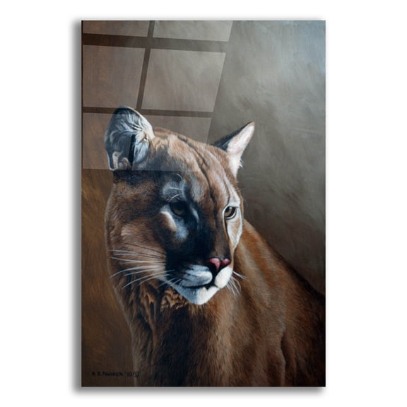 Epic Art 'Cougar' by Ron Parker, Acrylic Glass Wall Art, 16"x24"