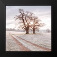thumbnail image 2 of Frank, Assaf 20x20 Black Modern Framed Museum Art Print Titled - Dirt road through a meadow, 2 of 5