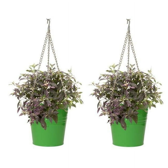 HOUSTON INTERNATIONAL TRADING  6151E AG  6151E AG S/2 Enameled Galvanized Steel Hanging Planter