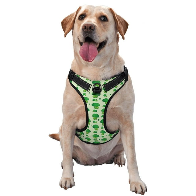 Fotbe Broccoli 1 Pattern Dog Harness, No-Pull Pet Harness with 2 Leash Clips, Adjustable Soft Padded Dog Vest with Easy Control Handle for Large Dogs-Medium