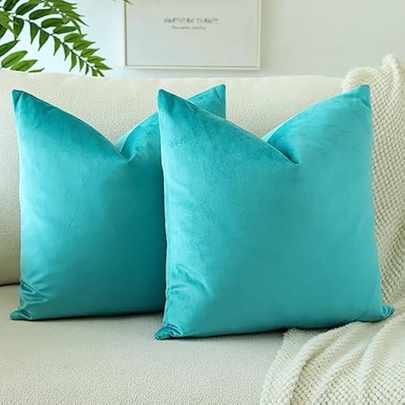 Eryueer Soft Velvet Decorative Throw Pillow Covers 50x50 cm Solid Cushion Covers 20x20 Inch Cushion Case Square Pillow Cases for Couch Sofa Living Room Bedroom Home Decor Set of 2 (Mint)