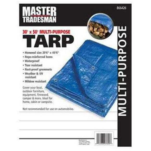 Master Tradesman RD 30 x 50 ft. Polyethylene Storage Tarp Cover - Blue