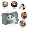 thumbnail image 6 of Rocae Funny Cat Printed Heat Resistant Place Mats,Classic Hemstitch Cloth Fabric Placemats Imitation Linen Place Mat Table Mats 18x12 inch, 6 of 9