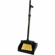 Genuine Joe Plastic Lobby Dust Pan Combo Kit (02407)