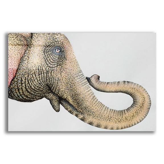 Epic Art 'Spotted Asian Elephant 2' by Michelle Faber, Acrylic Glass Wall Art, 24"x16"
