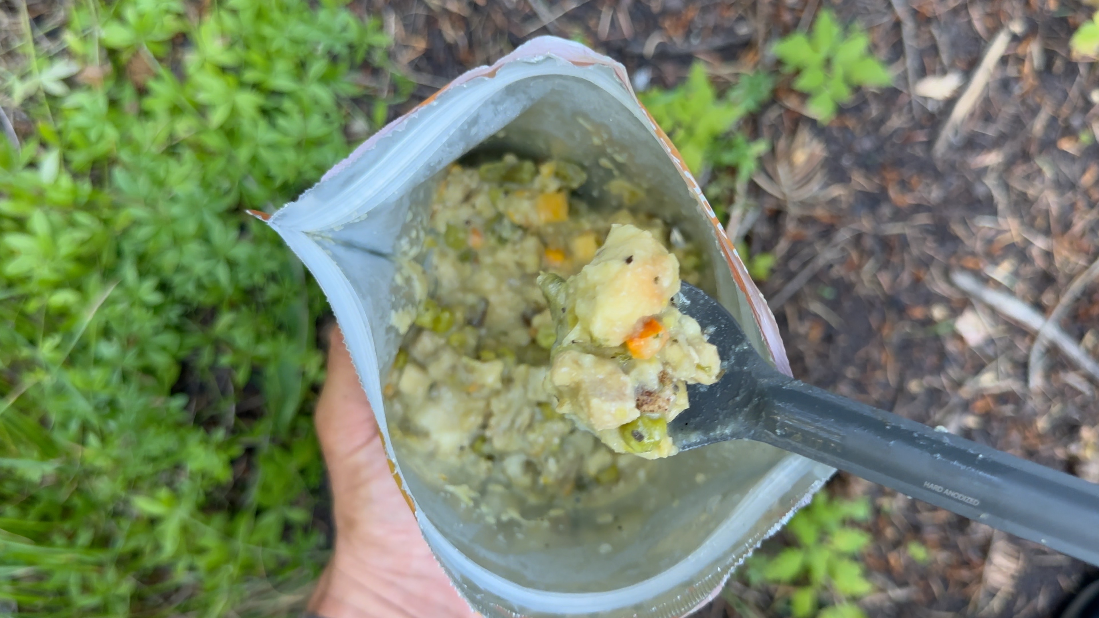 Foundation Outdoors Chicken Pot Pie, Freeze Dried Backpacking & Camping Food, Emergency Food, High Protein Meal