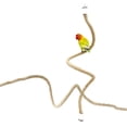 thumbnail image 2 of Parrot Training Toys Cage Hemp Rope Toys Pet Bird Standing Stick Exercise Perches Toys For Budgies Parakeet Pet Supplies, 2 of 9